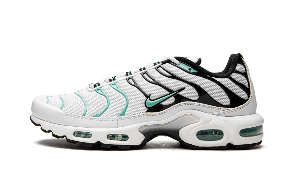NIKE AIR MAX PLUS "Atmos"