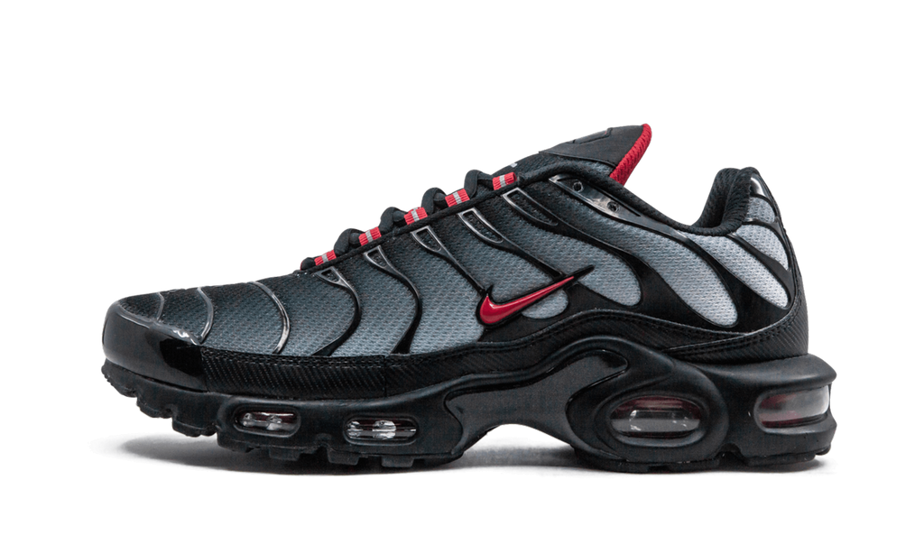 NIKE AIR MAX PLUS "Blue and Red"