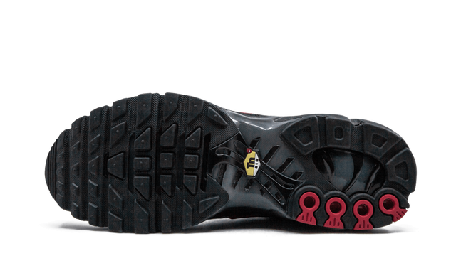 NIKE AIR MAX PLUS "Blue and Red"