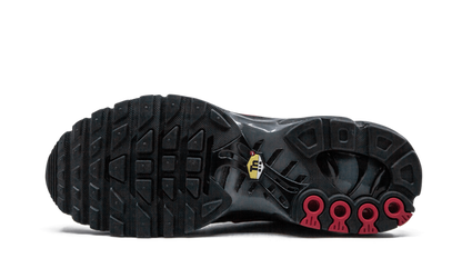 NIKE AIR MAX PLUS "Blue and Red"