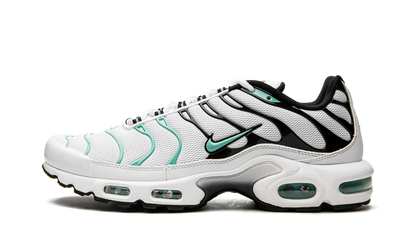 NIKE AIR MAX PLUS "Atmos"