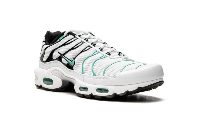 NIKE AIR MAX PLUS "Atmos"