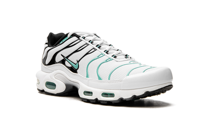 NIKE AIR MAX PLUS "Atmos"