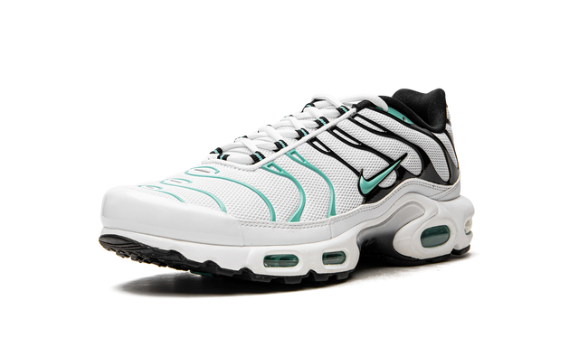 NIKE AIR MAX PLUS "Atmos"