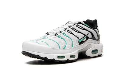 NIKE AIR MAX PLUS "Atmos"