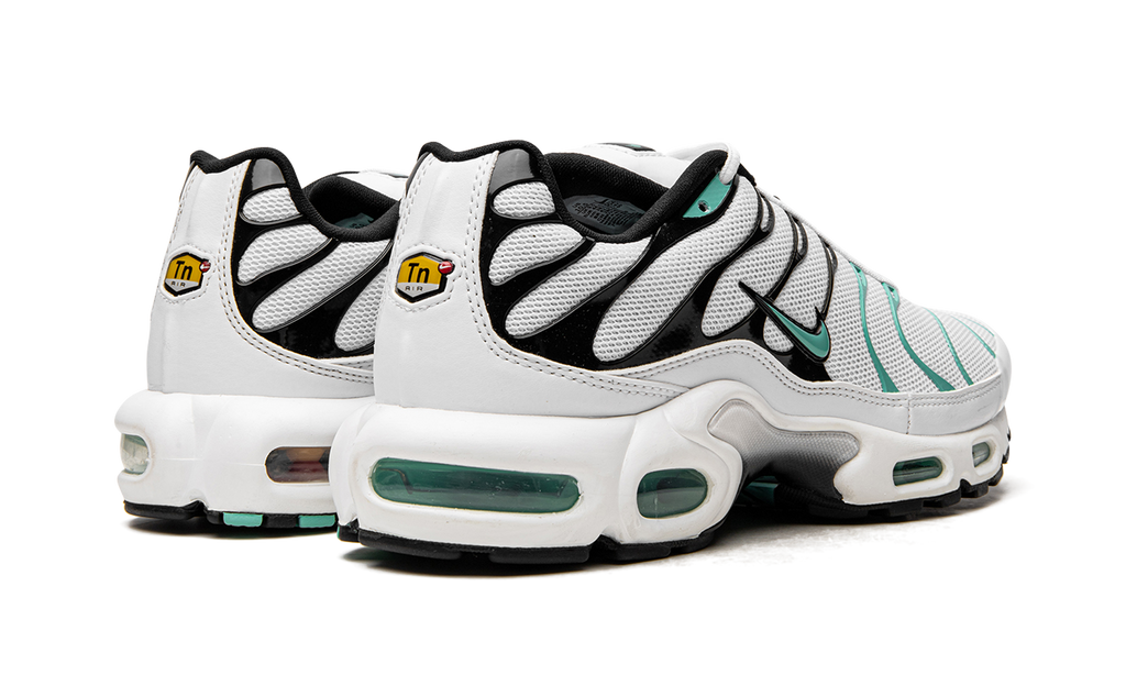 NIKE AIR MAX PLUS "Atmos"