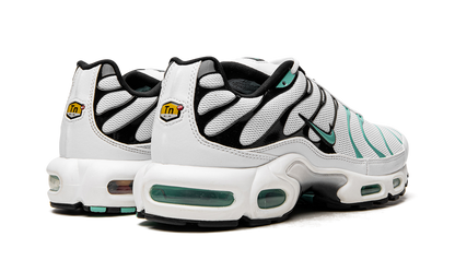 NIKE AIR MAX PLUS "Atmos"