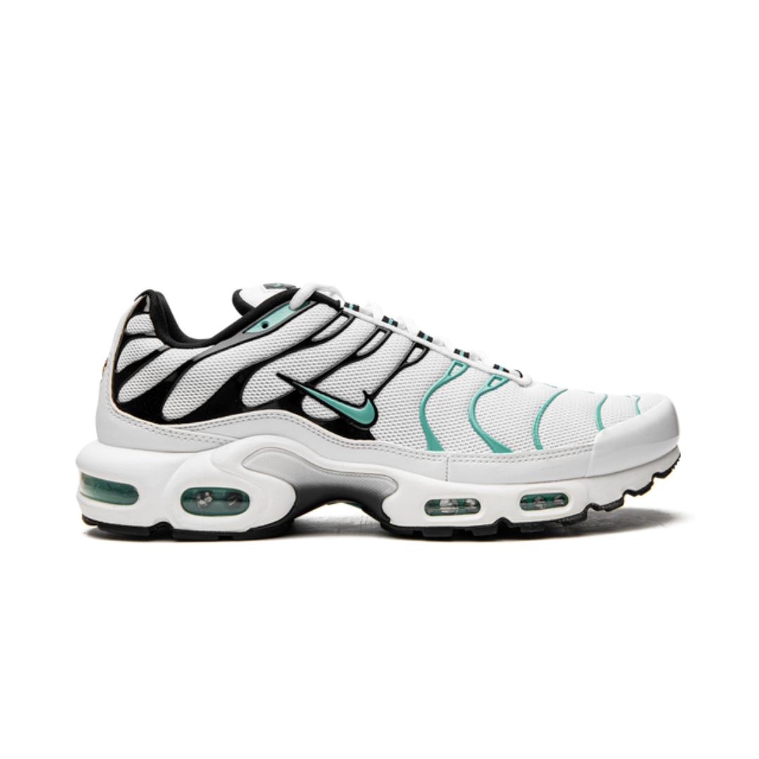NIKE AIR MAX PLUS "Atmos"