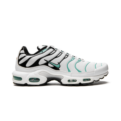 NIKE AIR MAX PLUS "Atmos"