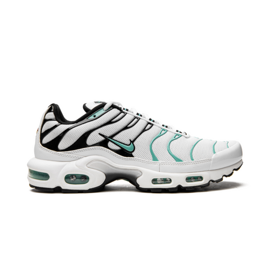 NIKE AIR MAX PLUS "Atmos"
