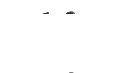 Air Jordan 11 Retro Low Concord Bred