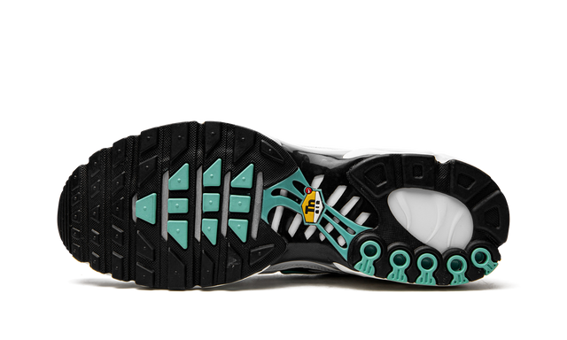 NIKE AIR MAX PLUS "Atmos"