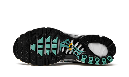 NIKE AIR MAX PLUS "Atmos"