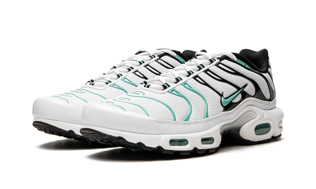 NIKE AIR MAX PLUS "Atmos"