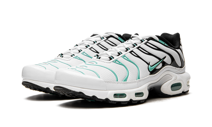 NIKE AIR MAX PLUS "Atmos"