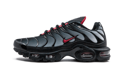 NIKE AIR MAX PLUS "Blue and Red"