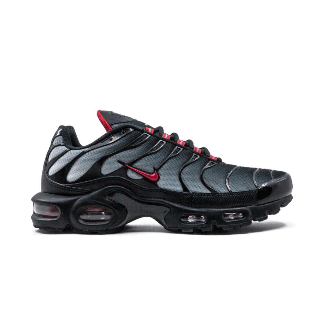 NIKE AIR MAX PLUS "Blue and Red"